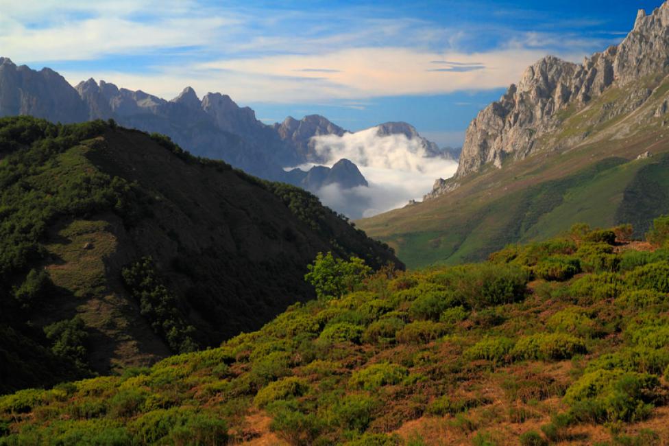 Parque Natural del Ponga